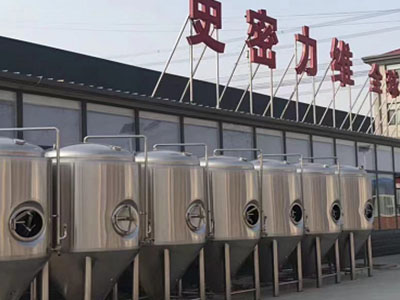 平陆精酿啤酒设备厂—如何判断精酿啤酒设备的密封件需要更换？